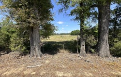 Holly Bush Road, Brandon, MS 39047