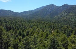 10940 Bartlett Trail, Rye, CO 81069