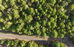 County Road 3470, Hawkins, TX 75765