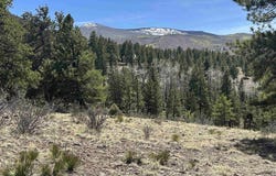 598 N Skyline Drive, South Fork, CO 81154
