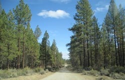 Pheasant Lane, Chiloquin, OR 97624