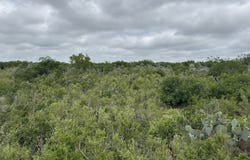 675 Legend Hls, Uvalde, TX 78801