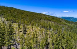 Forest Rte 4n20 Road, Hyampom, CA 96046
