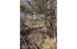 Poney Lane, Catskill, NY 12414