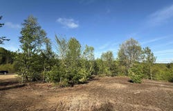 1029 E Solaris Way lot: B2, Maple City, MI 49664