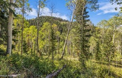8550 N Uinta Drive, Oakley, UT 84055
