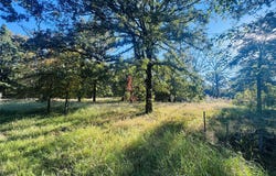 Hidden Valley, Tool, TX 75143