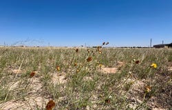 436D PR 107-E, Seminole, TX 79360