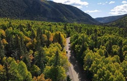 FSR 250, Jasper, CO 81132