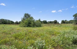 Josie Ln, Bastrop, TX 78602