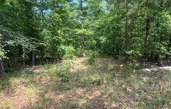 County Road 341, Piedmont, MO 63957
