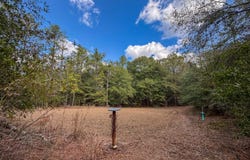 Co Rd 359, Maplesville, AL 36750