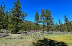 79402 State Highway 3, Trinity Center, CA 96091
