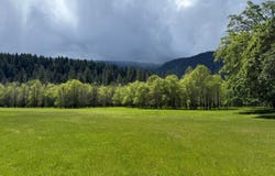 8480 St John Road, Hyampom, CA 96046