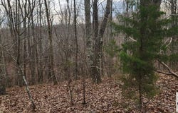Birdsong Rd, HOLLADAY, TN 38341