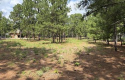 21 Strathaven Drive, Pinehurst, NC 28374