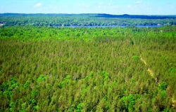 E20244 County Road GG, Augusta, WI 54722