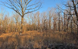 808 Coyote Trail, Pocahontas, AR 72455