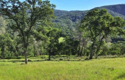 TBD Boneyard Creek Road, Coulterville, CA 95311