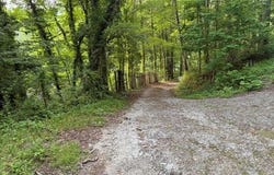 Heavenly View Dr, Sylva, NC 28779