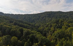 Redbud Circle, Luttrell, TN 37779