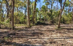 SE Stephens Avenue, Madison, FL 32340
