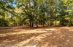 191 Autumn Lane, El Dorado, AR 71730