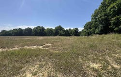 1096 CR 472, Piggott, AR 72454