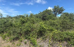 S 10th, Aransas Pass, TX 78336