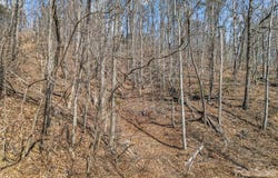 Hemlock Trail, Columbus, NC 28722