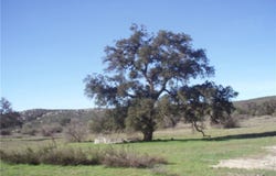 Willow Canyon Road, Hemet, CA 92544
