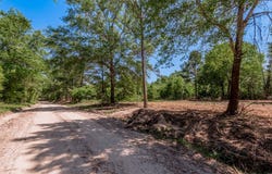 6077 County Road 4200, PENNINGTON, TX 75856