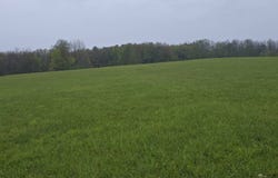 89 Hartwell Rd, Berkshire, NY 13736