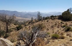 Big Springs, Caliente, CA 93518