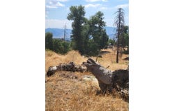 26700 Winter Court, Tehachapi, CA 93561