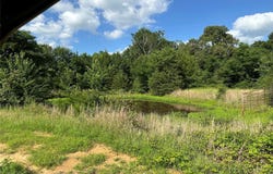 CR 44240, Powderly, TX 75473