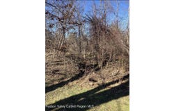 Poney Lane, Catskill, NY 12414