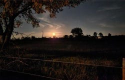 10920 Old Cincinnati Road, Lincoln, AR 72744