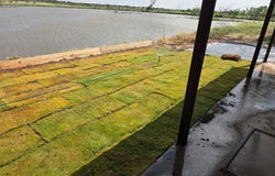 613-B N Access Road, Tye, TX 79603