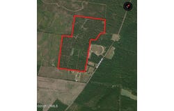 Old Buckhead Road, Bamberg, SC 29003