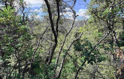 High Rolls Mountain Park, NM 88325