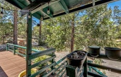 54111 Linger Ln, Idyllwild, CA 92549