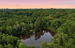 County Road 438, Elba, AL 36323