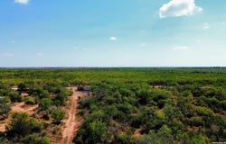 7365 Leal Rd, Pleasanton, TX 78064