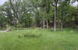1576 Adell Circle, Peaster, TX 76088