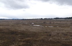 901 W Pierce Ave, Weippe, ID 83553