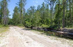 15539 COUNTY RD 305, BUNNELL, FL 32110