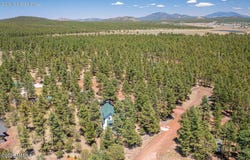 321 N Stoneman Boulevard, Williams, AZ 86046
