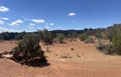 3801 Tonto Road, Snowflake, AZ 85937