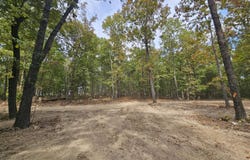 County Road 519, Hardenville, MO 65666